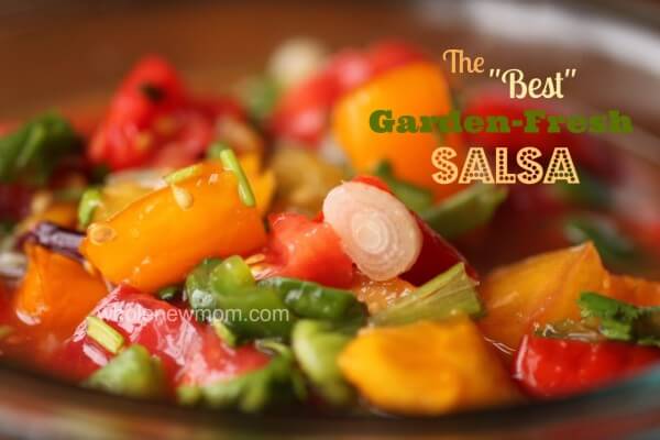 Summer Salsa Fun! - A Salsa Roundup 10 Garden-Fresh-Salsa-Wmk-e1373461806654