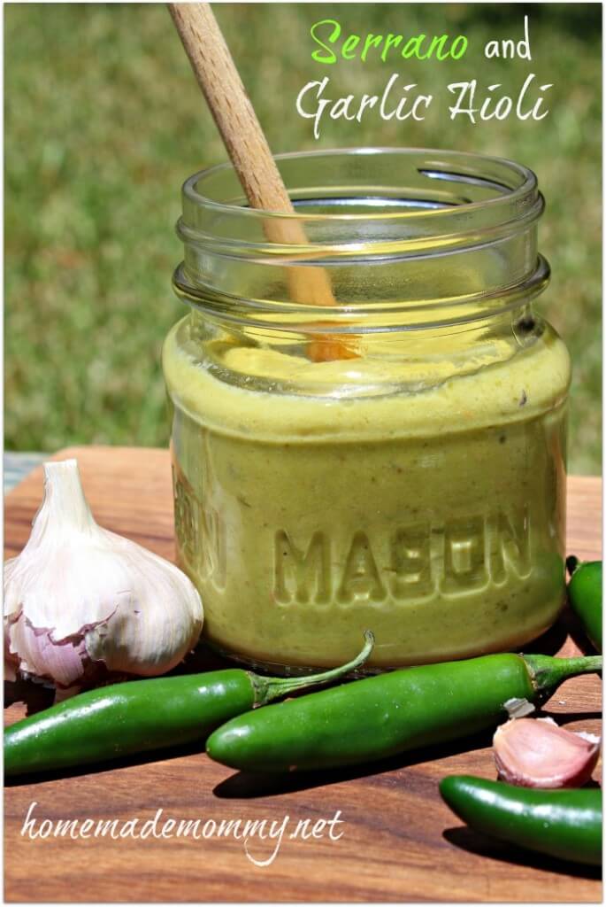 Summer Salsa Fun! - A Salsa Roundup 9 Serrano-and-Garlic-Aioli-685x1024