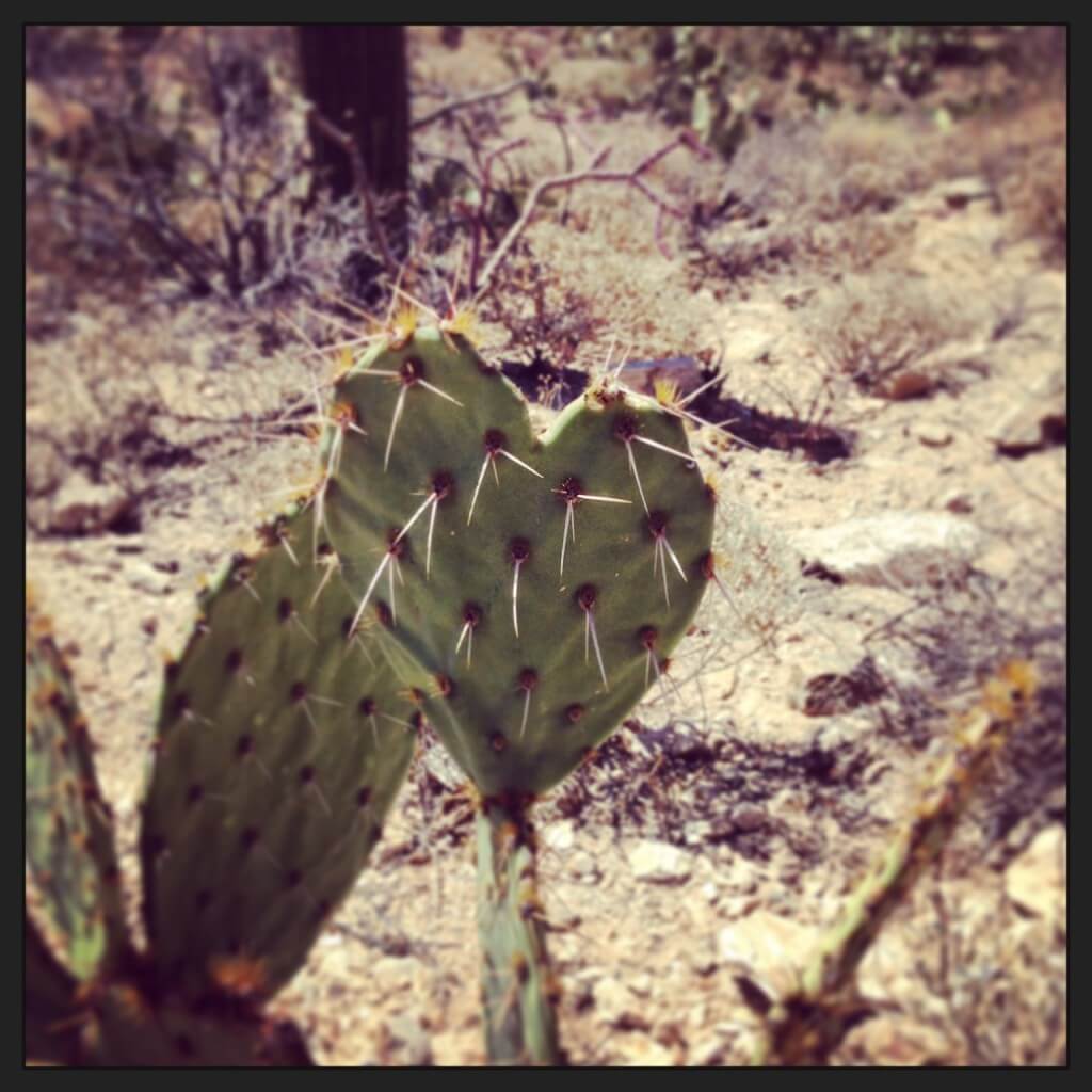 Week 15 on the GAPS Intro Diet 2 Week 15 on the GAPS Intro Diet.