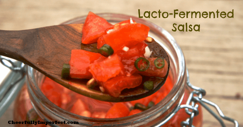 Summer Salsa Fun! - A Salsa Roundup 12 Summer Salsa Roundup!