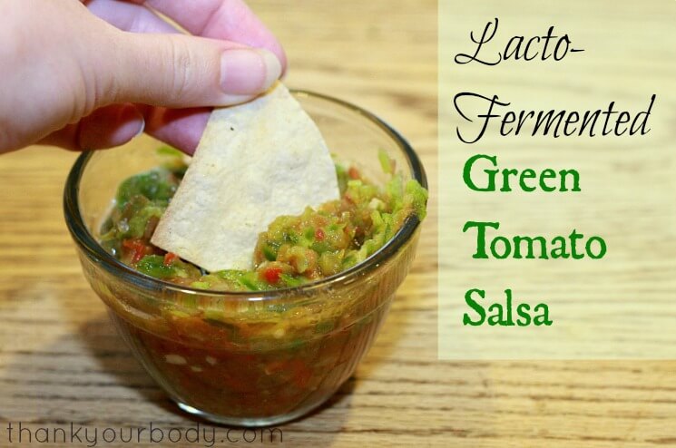 Summer Salsa Fun! - A Salsa Roundup 15 Summer Salsa Fun!