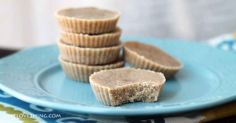 GAPS Diet Update: 5 months 1 This freezer fudge whips up real quick! Paleo, GAPS, SCD. Yum!