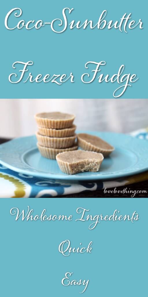 Coco-Sunbutter Freezer Fudge (Paleo, GAPS, SCD) 3 This freezer fudge whips up real quick! Dairy, Egg, Nut-Free, Paleo, GAPS, SCD. Yum!
