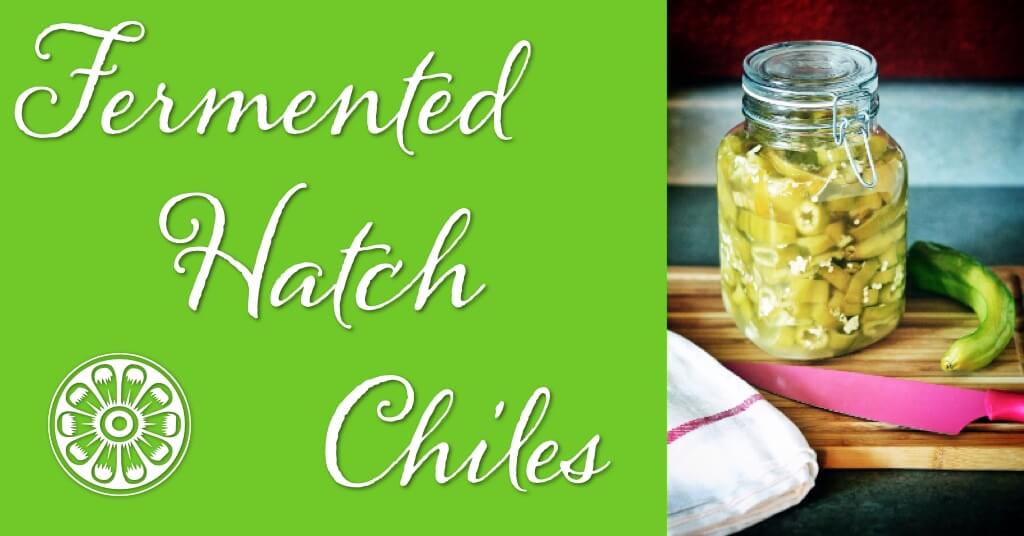 Fermented Hatch Chiles 1 Fermented Hatch Chiles - my favorite ferment!!