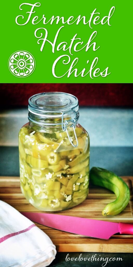 Fermented Hatch Chiles 3 Lacto-Fermented Hatch Chiles - my favorite ferment!!