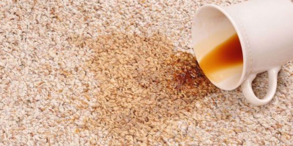 Diatomaceous Earth Uses: 13 Smart Ways to Use Diatomaceous Earth In Your Home