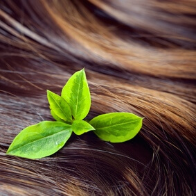 The ultimate natural hair care directory! No-Poo, DIY products, FAQs, everything!