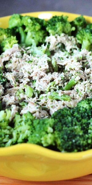 Nourishing Chicken and Broccoli