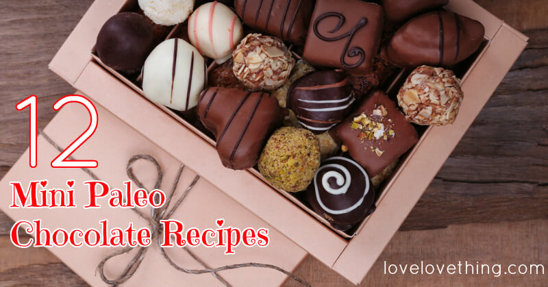12 Mini Paleo Chocolate Recipes 2 12 Mini Paleo Chocolate Recipes - yum!!