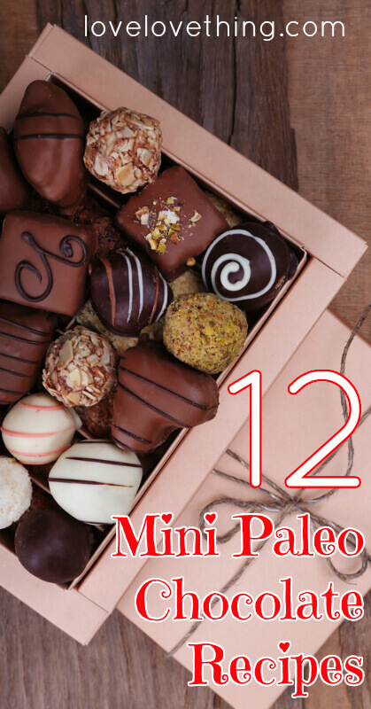 12 Mini Paleo Chocolate Recipes 3 12 Mini Paleo Chocolate Recipes
