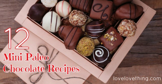12 Mini Paleo Chocolate Recipes 11 12 Mini Paleo Chocolate Recipes - yum!!
