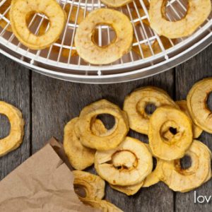 33 Most Delicious Healthy Dehydrator Recipes