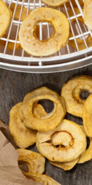 33 Most Delicious Healthy Dehydrator Recipes