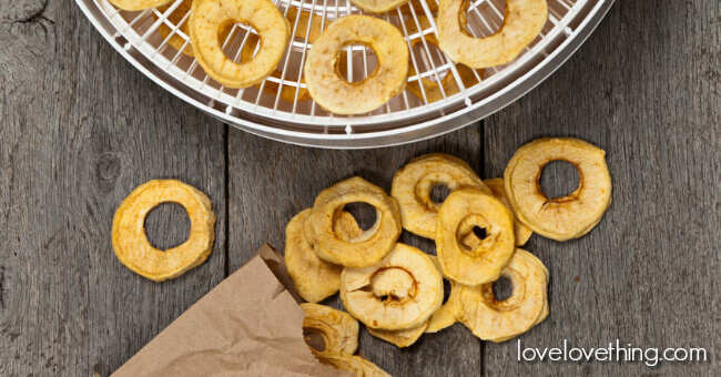 33 Most Delicious Healthy Dehydrator Recipes 4 33 healthy dehydrator recipes