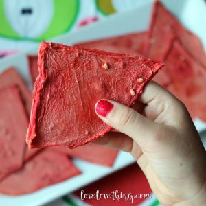 How to Dehydrate Watermelon (yes, you really can!)