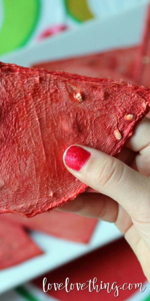 How to Dehydrate Watermelon (yes, you really can!)